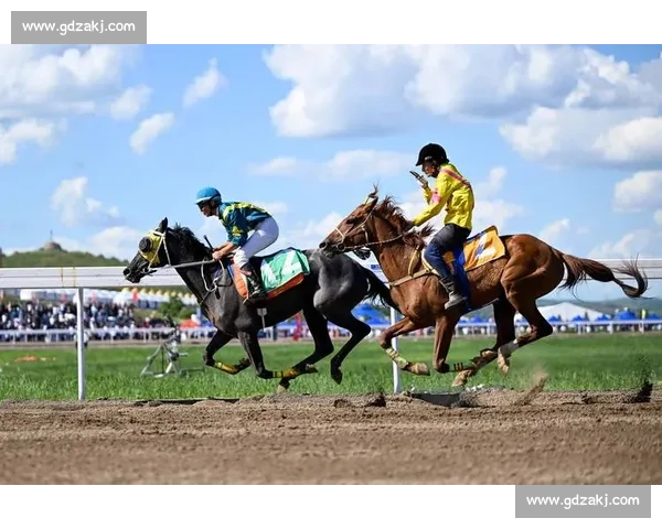 体育赛事入口全攻略全面覆盖热门赛事平台与直播通道