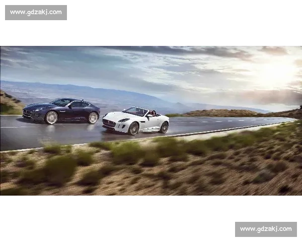 极限速度与持久对决的世界顶级耐力赛全景解析赛道传奇与技术革新探秘