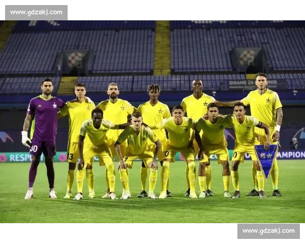 聚焦职业联赛赛程格局球队表现与冠军争夺新走势分析赛季战术看点 - 副本 (2)