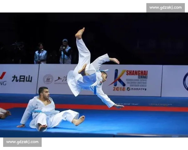 聚焦全国青少年空手道锦标赛精彩对决与竞技精神传承热血拼搏之路 - 副本 - 副本