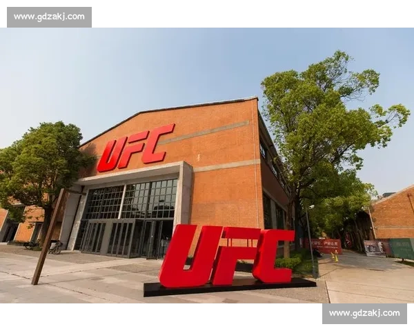 全球顶级MMA赛事全景解析 力与技巧的极限碰撞